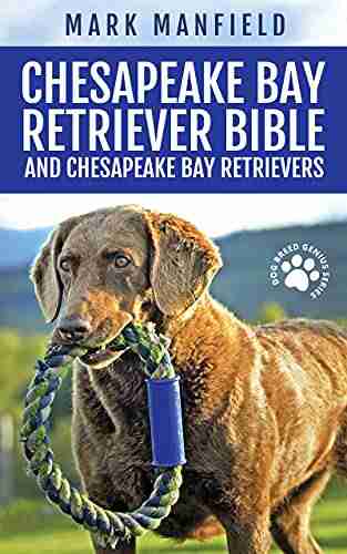 Chesapeake Bay Retriever Bible And Chesapeake Bay Retrievers: Your Perfect Chesapeake Bay Retriever Guide Chesapeake Bay Retrievers Chesapeake Bay Retriever Size More (Dog Breed Genius Series)